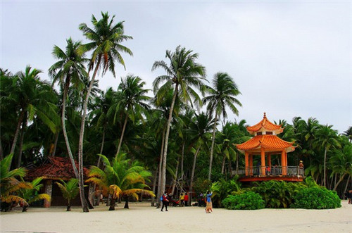 普格县开店香菇酱加盟没经验开什么店好