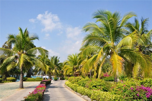 尚渔味时尚烤鱼加盟在沛县开店有哪些优势