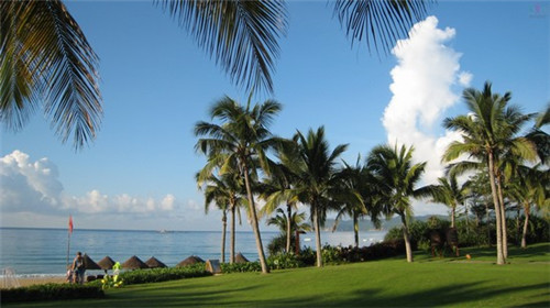 古云轩加盟费多少