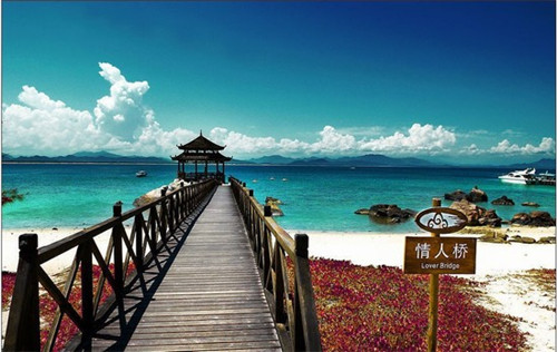 青砖茶加盟高人气品牌店推荐（青砖茶简介）