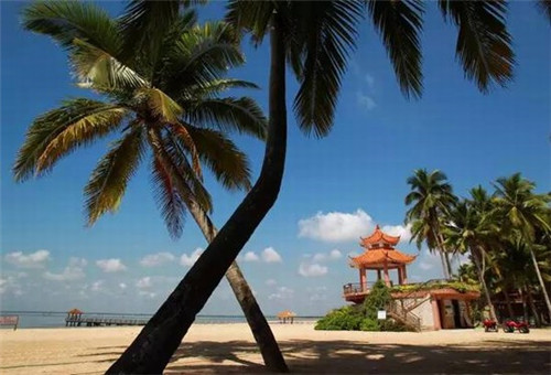 属虎宝宝5月出生起名字好吗（虎宝宝5月出生好不好）