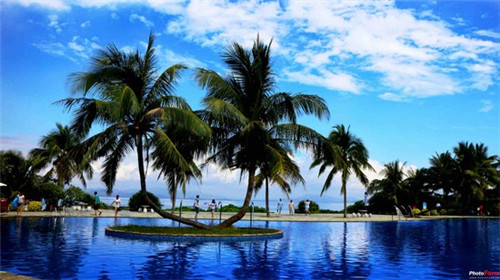 布布蹦迪视频（布布跳舞音乐）