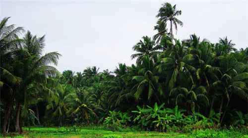 1000块钱能装修老房子吗（新房装修1000元一平方能装什么样）