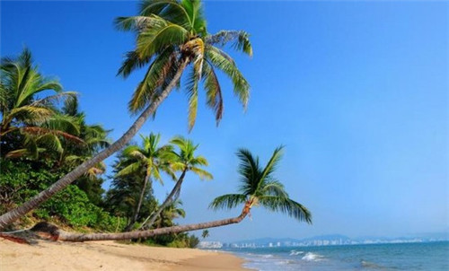 晚礼服连锁店怎么加盟开店，晚礼服品牌十大排行榜