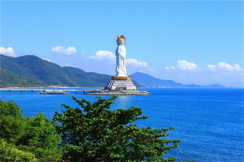 香蕉什么品牌（香蕉哪个品牌好）